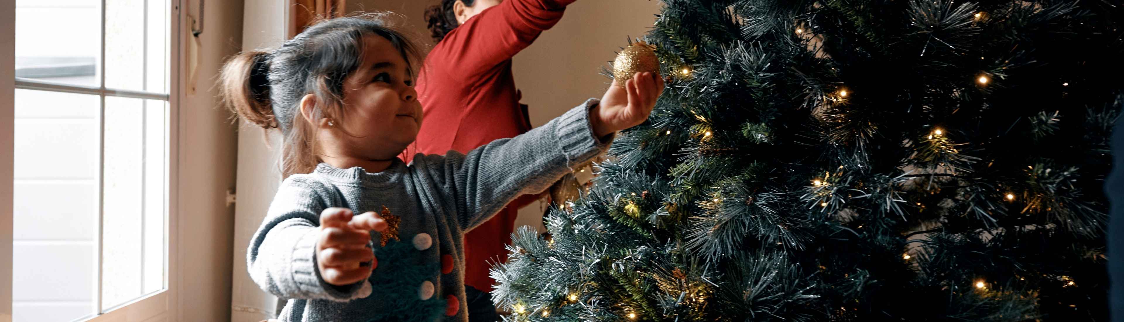 All I Want for Christmas is My Family